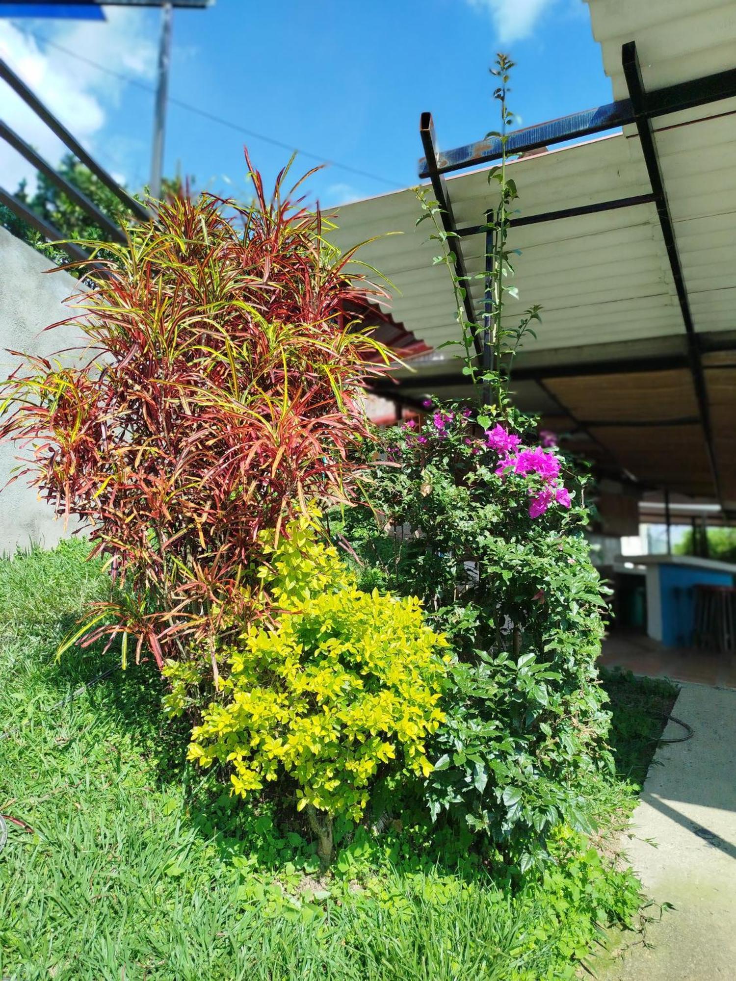 Mountain View Hostel San Peregrino Exterior photo